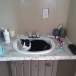 Excelsior Manor Mobile Home Pk