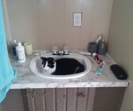 Excelsior Manor Mobile Home Pk