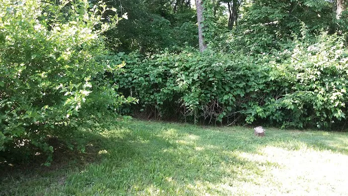 Doc's Park Picture 1