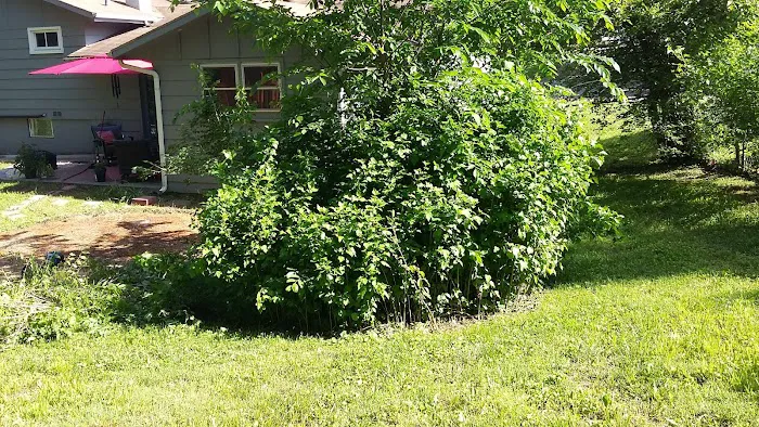 Doc's Park Picture 3