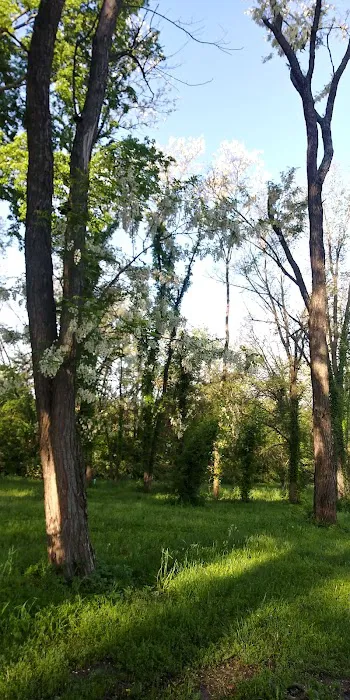 Doc's Park Picture 2