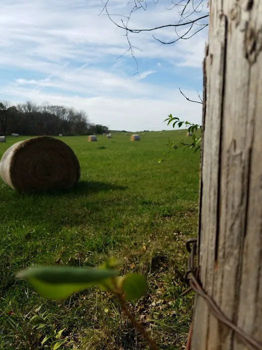 Doc's Park Picture 9