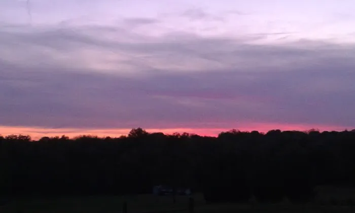 Doc's Park Picture 6