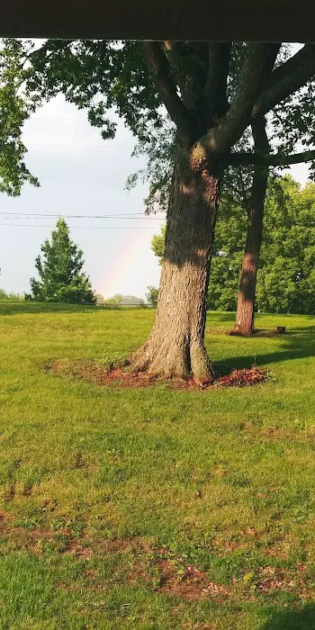 Doc's Park Picture 8