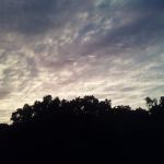 Majestic Hills Mobile Home Park