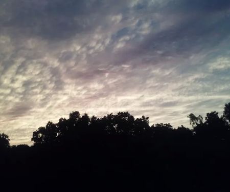 Majestic Hills Mobile Home Park