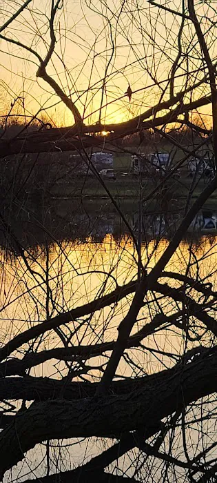 Suncatcher Lake RV Park Picture 4