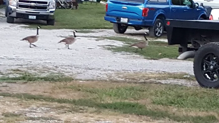 Suncatcher Lake RV Park Picture 7
