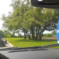 Green Acres Park ico