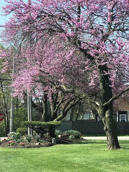 Oak Park Estates Picture 2