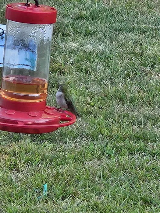 Winterwood Estates Picture 9