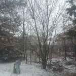 Seges Mobile Home Park