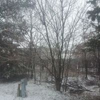 Seges Mobile Home Park ico