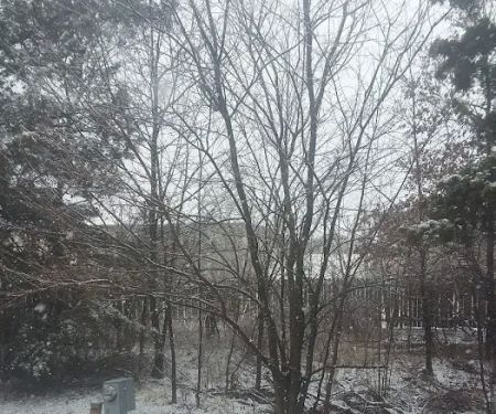 Seges Mobile Home Park