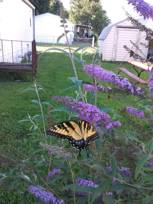 Meadowood Manufactured Home Community Picture 2