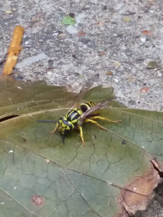 Grand Park Picture 5