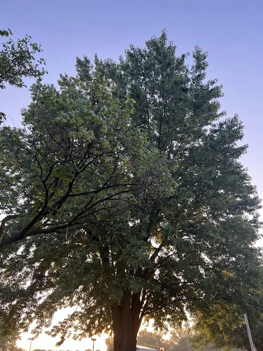 Skyline Village Mobile Home Picture 5