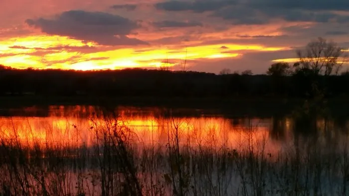 Covenant Cove RV Resort Picture 4