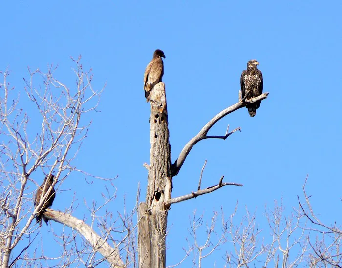 Covenant Cove RV Resort Picture 3