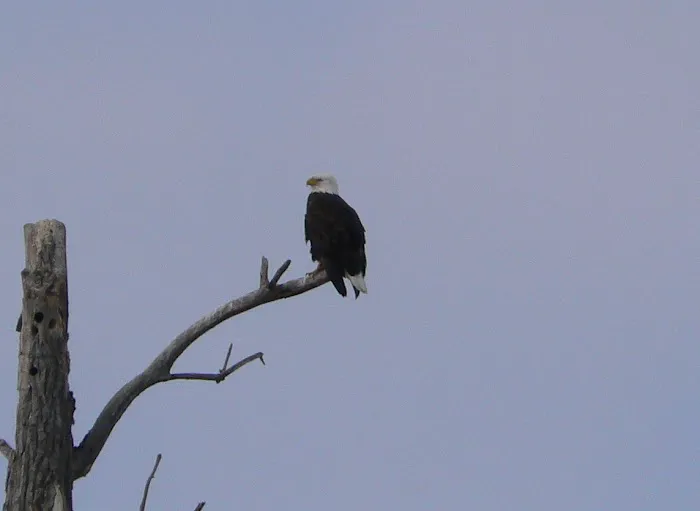 Covenant Cove RV Resort Picture 6