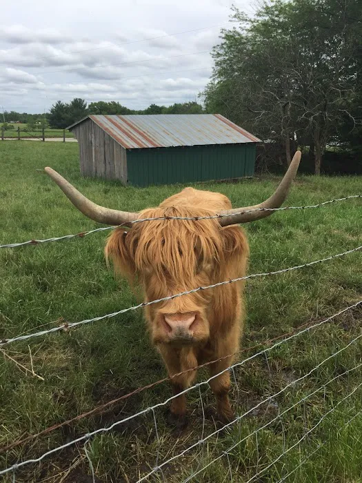 Pony Express RV Park, LLC Picture 5