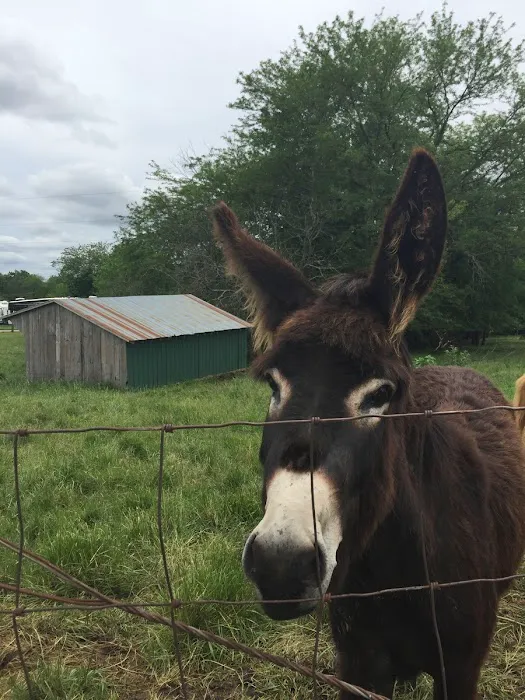 Pony Express RV Park, LLC Picture 6