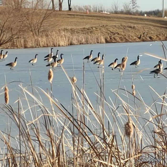 Pony Express RV Park, LLC Picture 9