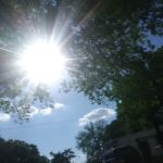 Triple B Trailer Park