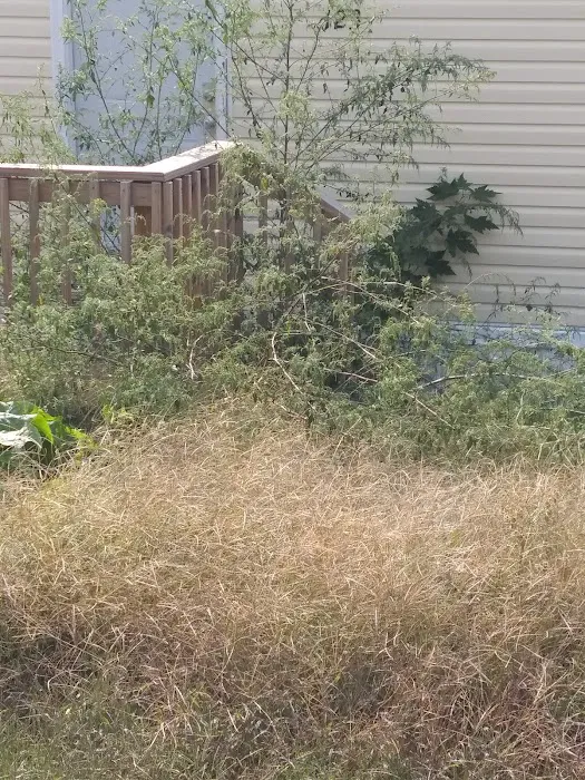 Countryside Estates MHP Picture 6