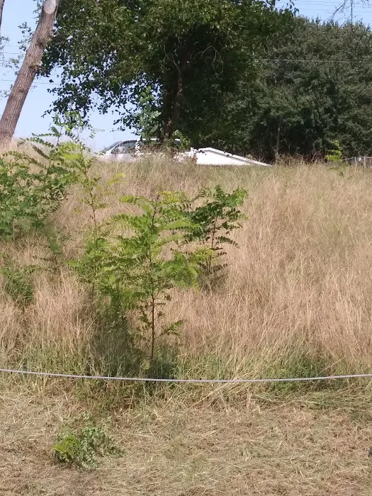 Countryside Estates MHP Picture 8