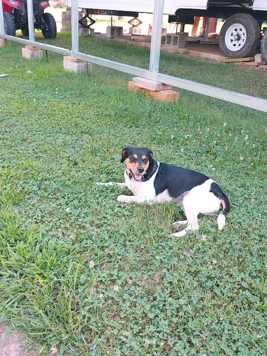 Stoutsville Resort Picture 5