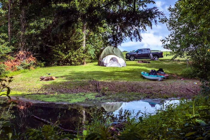 Mark Twain Lake Jellystone Park Picture 8