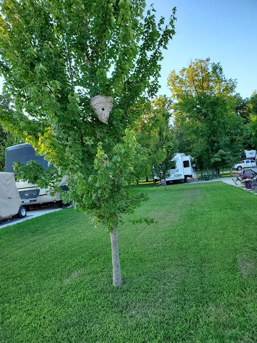 Adventure Out RV Park Picture 7