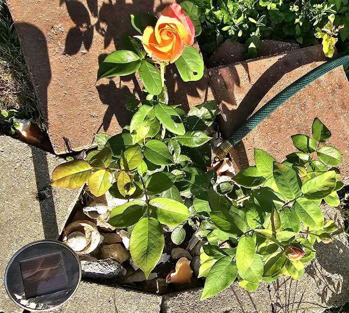 Kendrick Mobile Home Park Picture 3