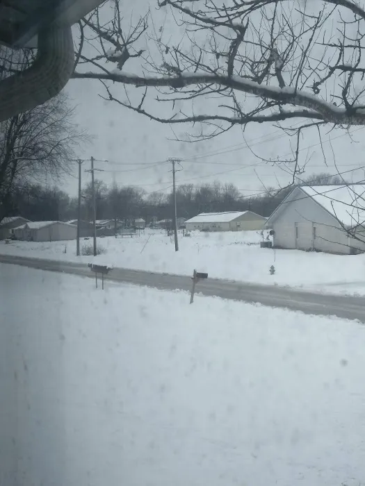 Kendrick Mobile Home Park Picture 5