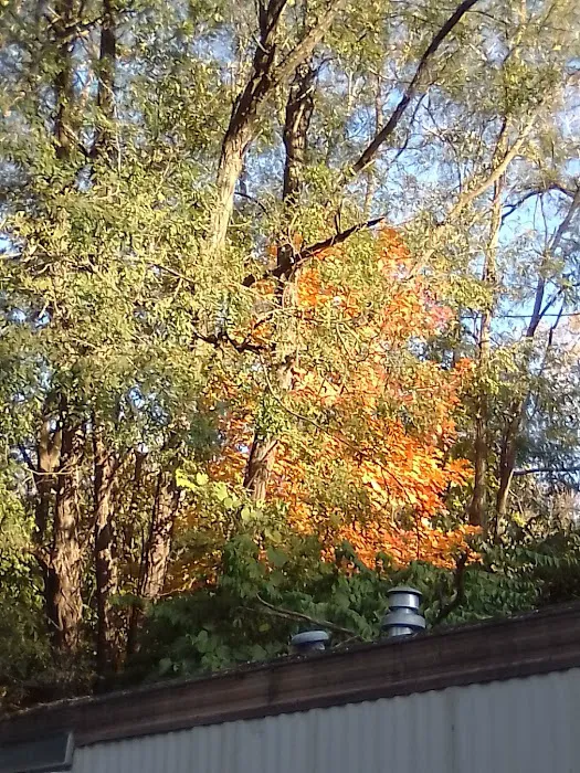 Neighbors Of The Meadows Picture 9