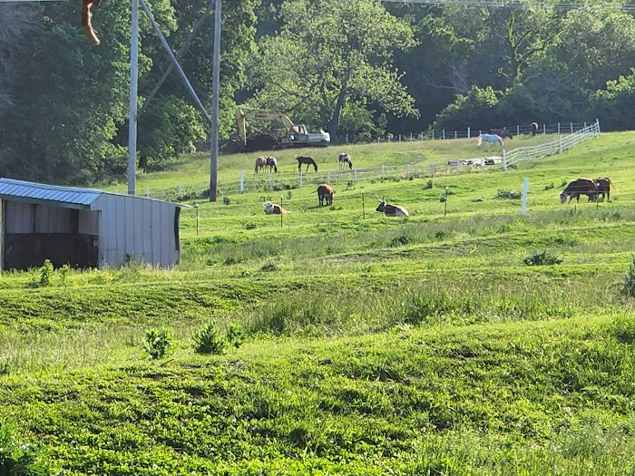 sharp rv park Picture 3