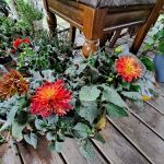 Hultz's Expressway Mobile Home Park