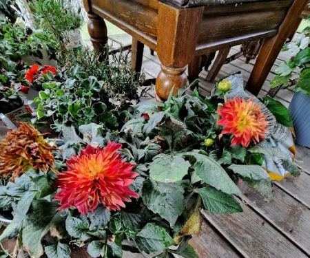 Hultz's Expressway Mobile Home Park