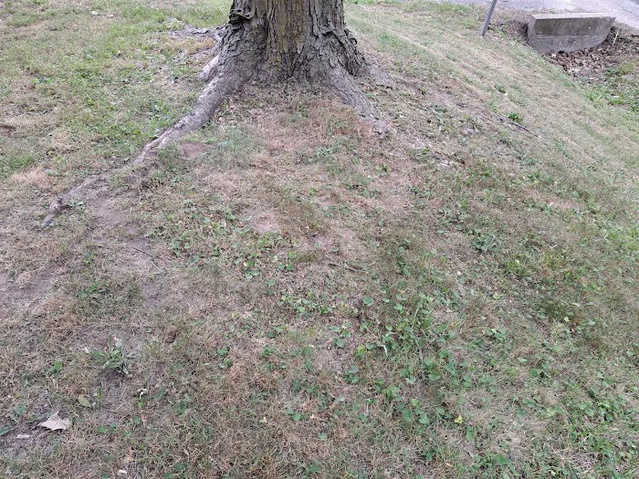 Hultz's Expressway Mobile Home Park Picture 8