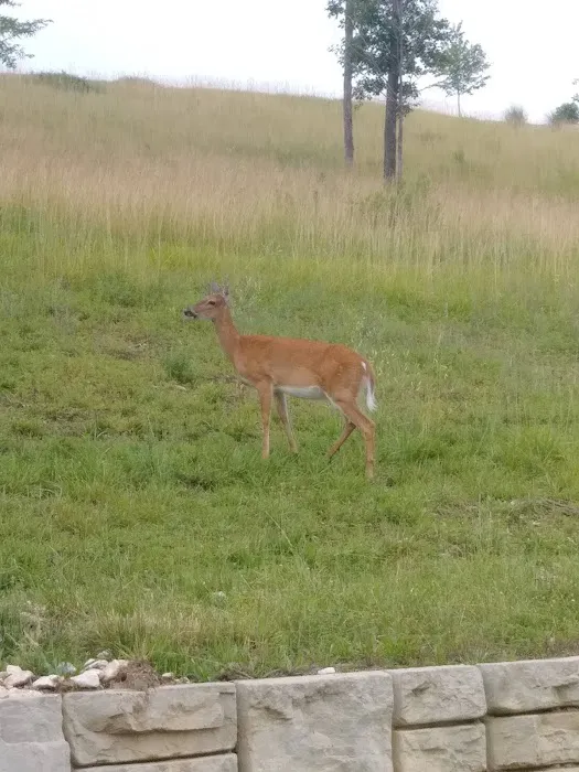 Aztec Mobile Home Park Picture 3