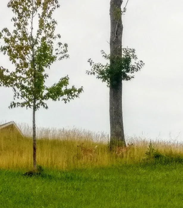 Aztec Mobile Home Park Picture 2