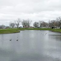 Timberline Estates ico