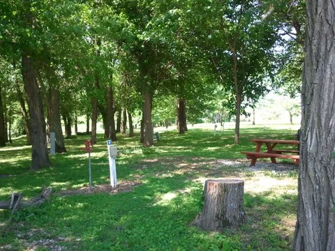 Up Dog RV & Camping Picture 3