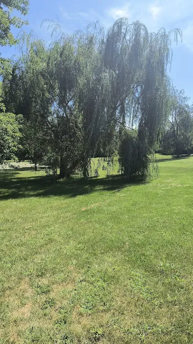 Up Dog RV & Camping Picture 9