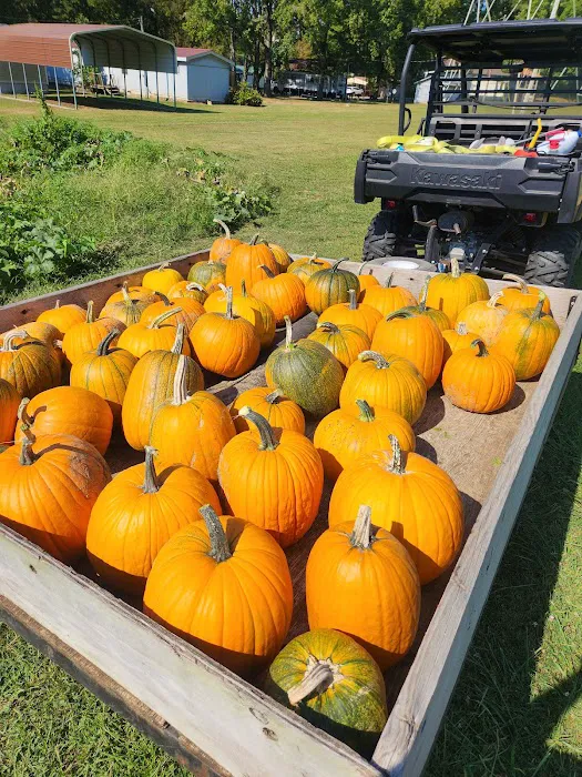 Fisherman's Resort RV Park Picture 10