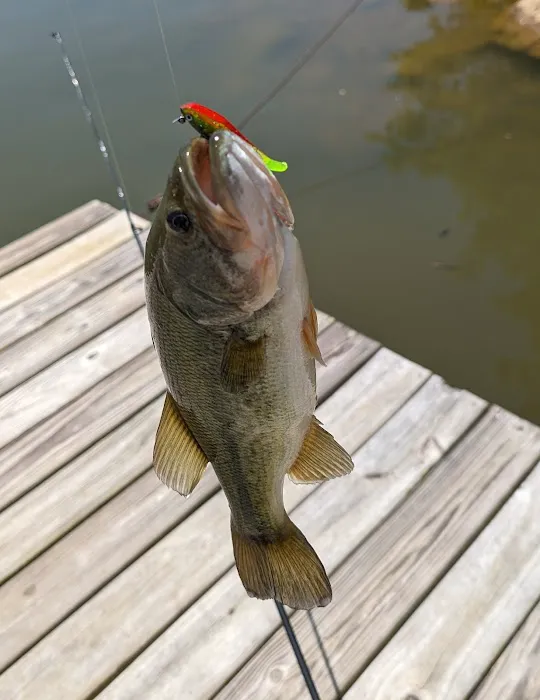 Red Oak Point Picture 9