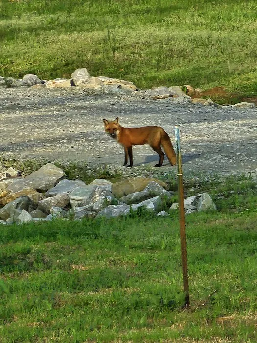Hidden Oasis at White Oak Landing Picture 7