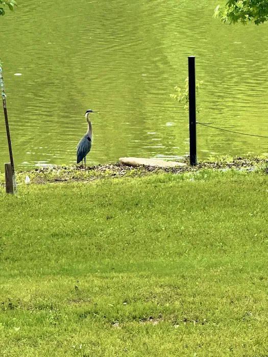 The Cove At Tennessee River RV Sites Picture 9