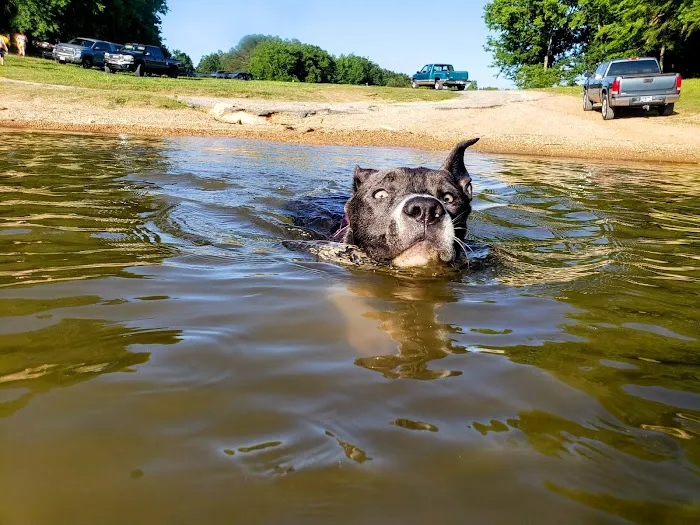 Drop Anchor RV Park Picture 3